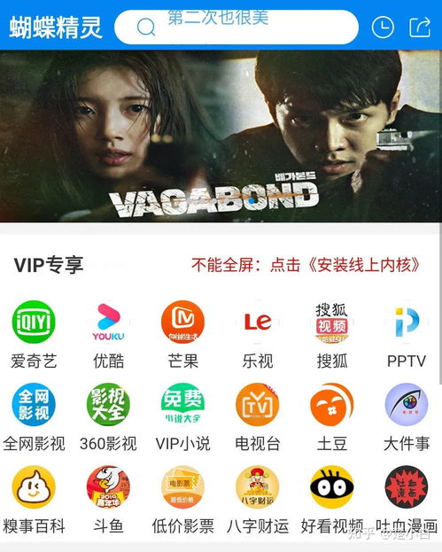 代理销售“全网影视会员一卡通”的法律风险与深圳软件开发合规路径