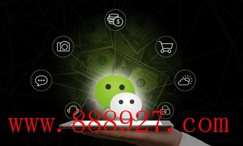 深圳市盐田区小程序开发团队公司 深圳软件开发的先锋力量